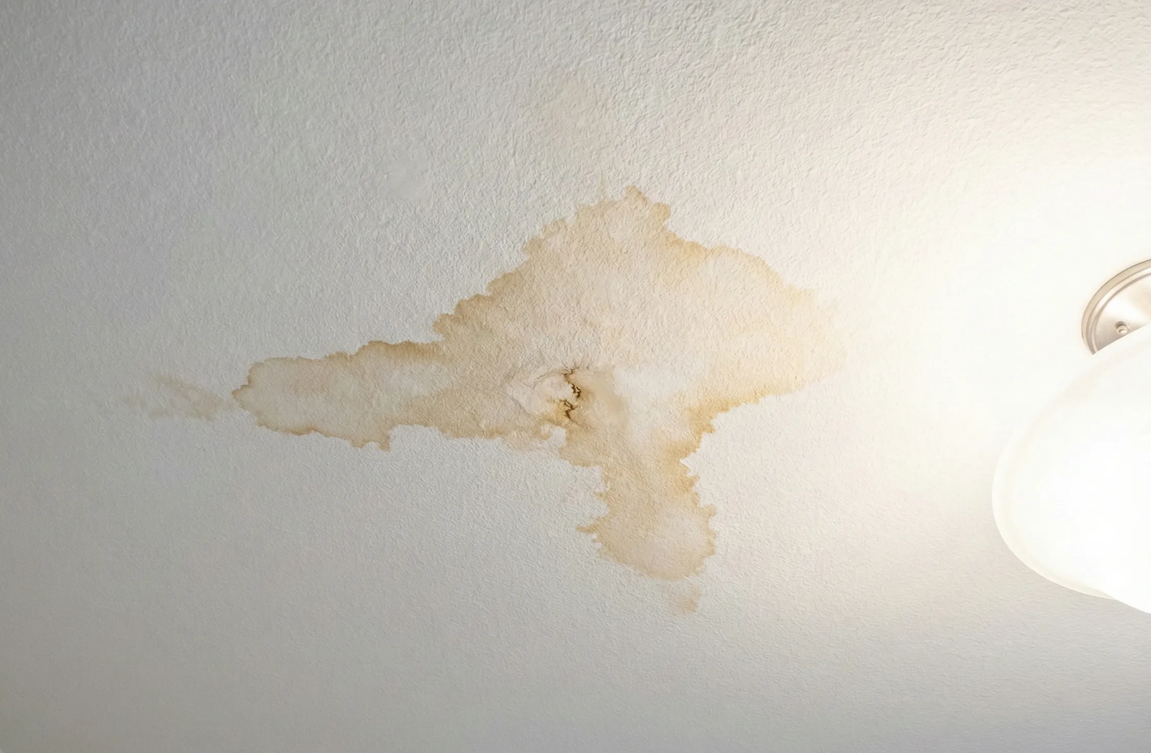 Bellevue Roof Repair Why Small Leaks Spread Fast in Winter roof repair small leaks