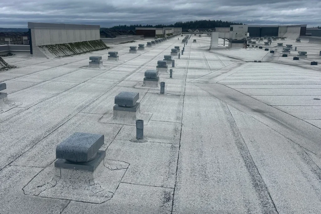Flat roof with ventilation units visible.